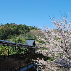 �y�_���m��Ȃ�܂�����z����]�����{�� �x�[�V�b�N1��2�H